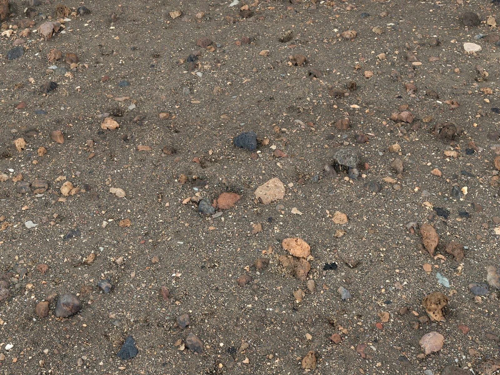 Stone Desert 16K Low-poly 3D model_7