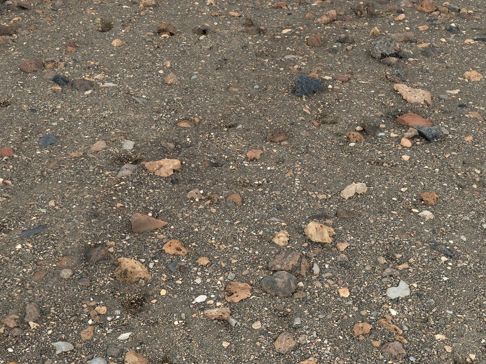 Stone Desert 16K Low-poly 3D model_4