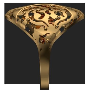 Ring  01 3D print model_2