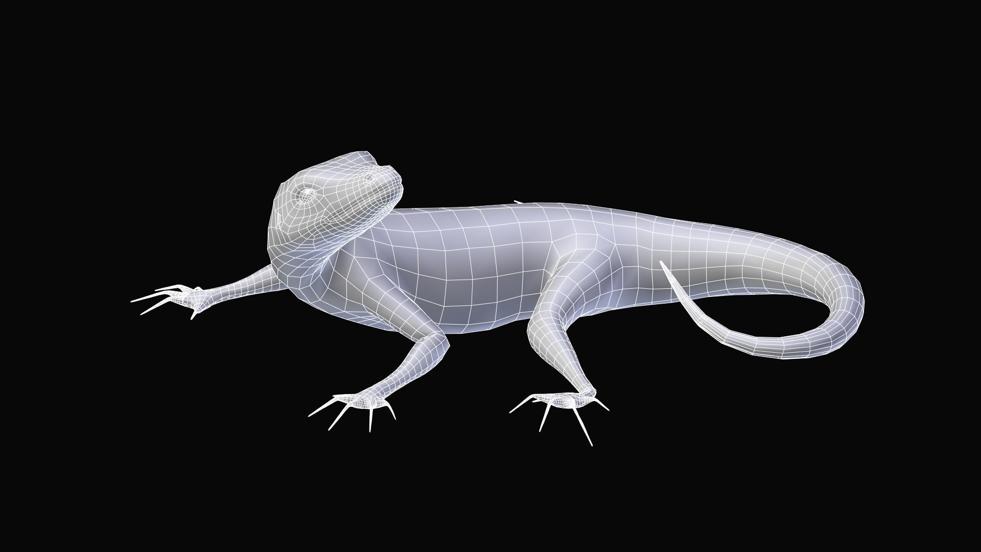 Green Lizard- Podarcis Sicula Low-poly 3D model_6