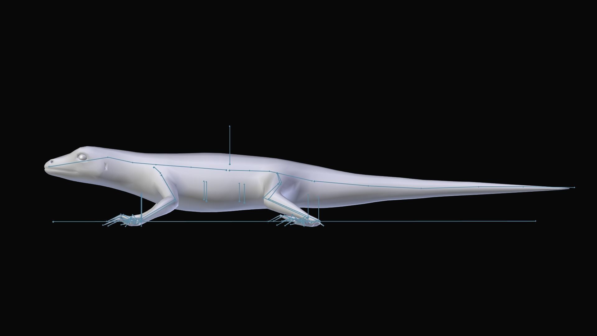 Green Lizard- Podarcis Sicula Low-poly 3D model_14