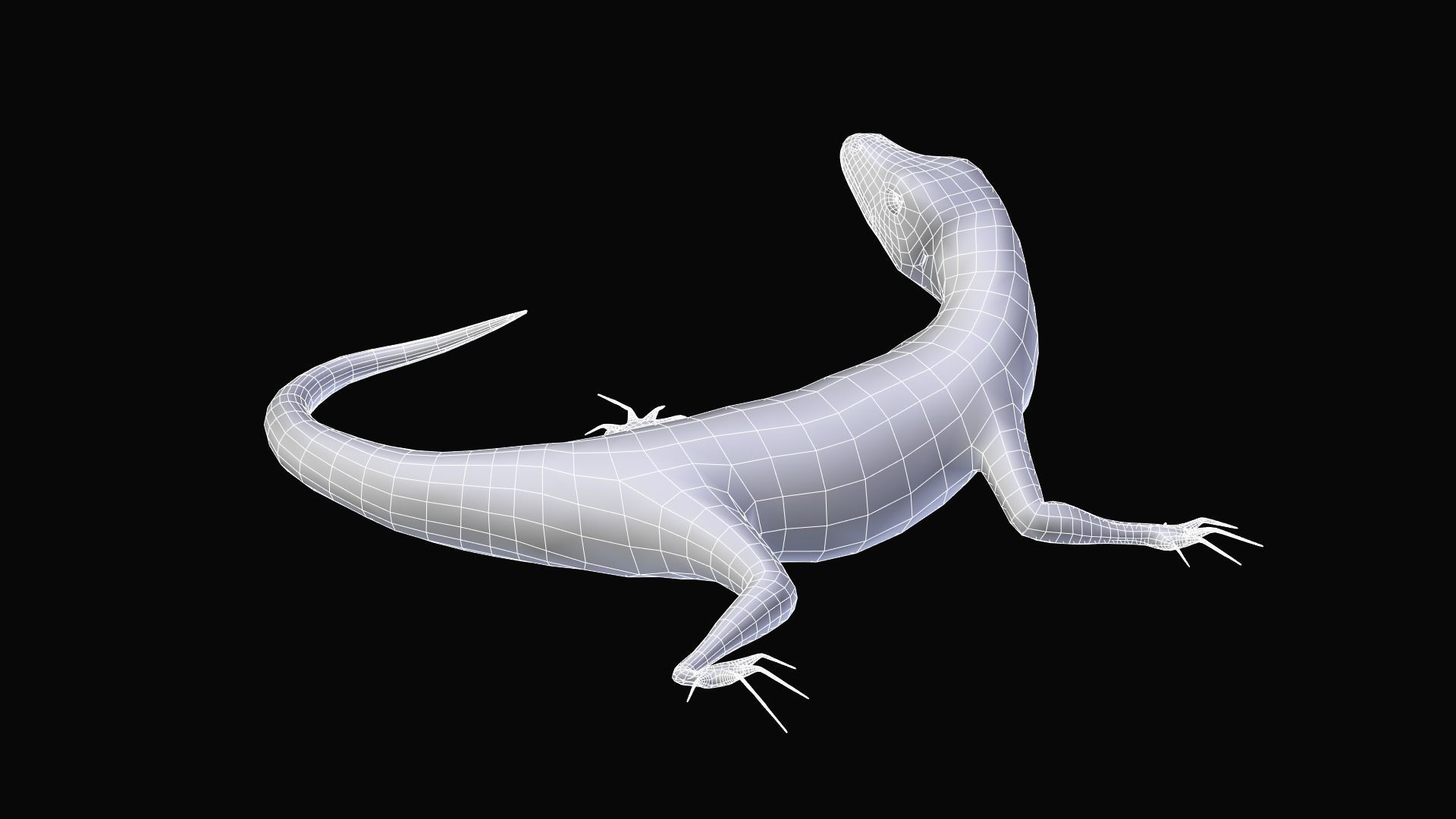 Green Lizard- Podarcis Sicula Low-poly 3D model_9