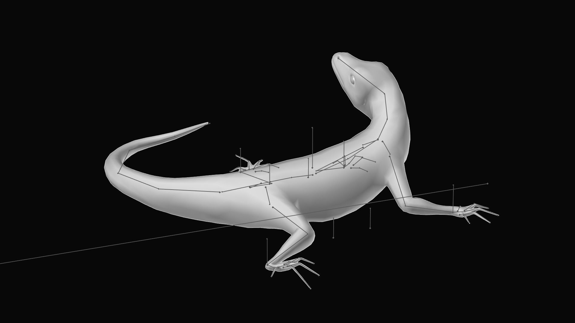 Green Lizard- Podarcis Sicula Low-poly 3D model_8
