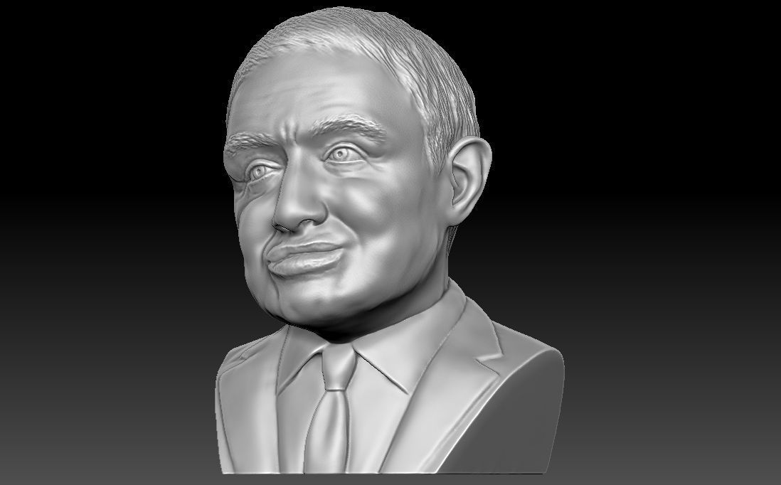 Stephen Hawking 3D printing ready stl obj formats 3D print model_2