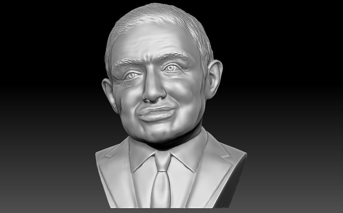 Stephen Hawking 3D printing ready stl obj formats 3D print model_1