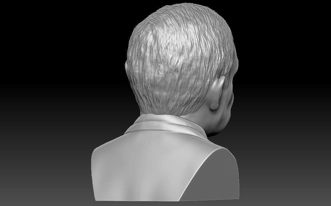 Stephen Hawking 3D printing ready stl obj formats 3D print model_8