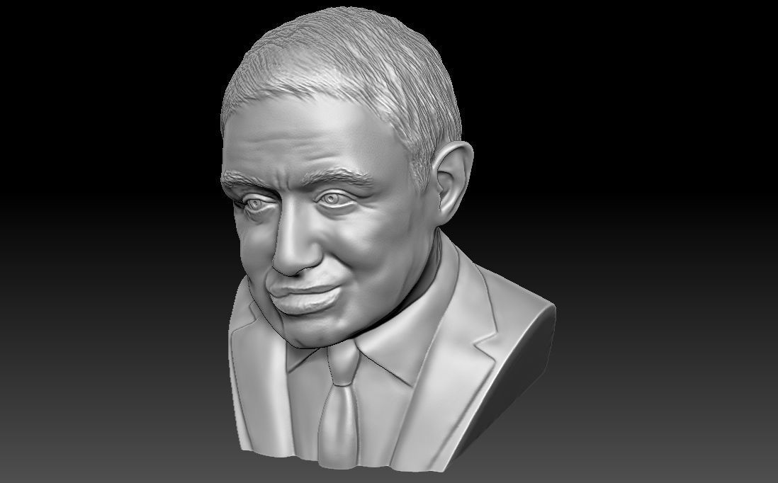 Stephen Hawking 3D printing ready stl obj formats 3D print model_14