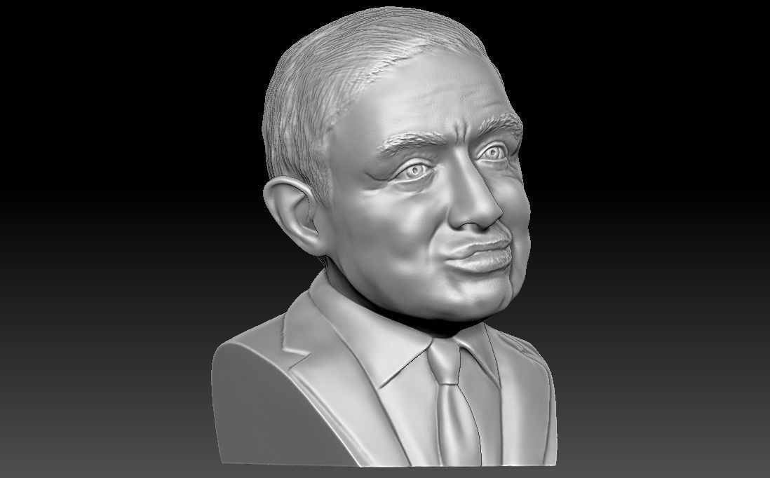 Stephen Hawking 3D printing ready stl obj formats 3D print model_11