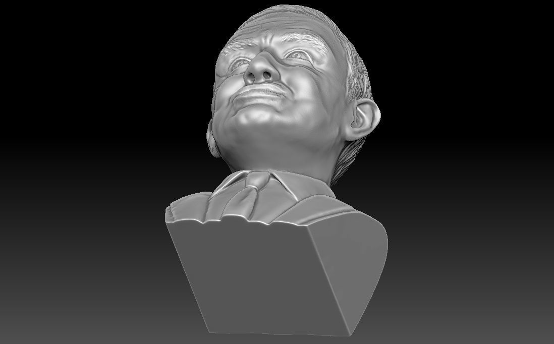 Stephen Hawking 3D printing ready stl obj formats 3D print model_22