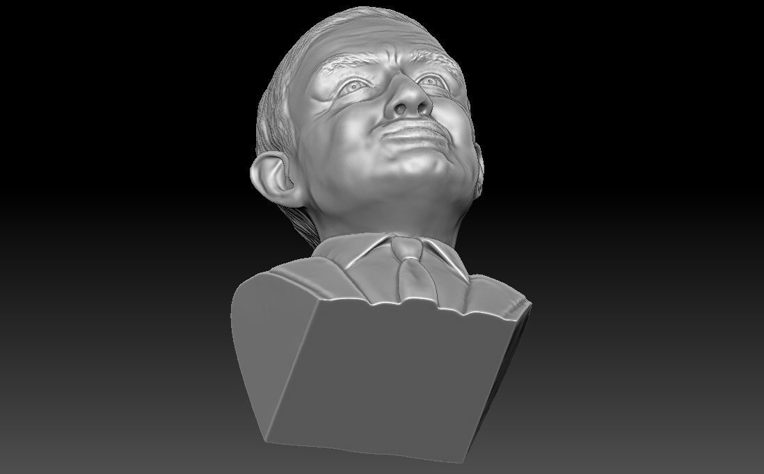 Stephen Hawking 3D printing ready stl obj formats 3D print model_23