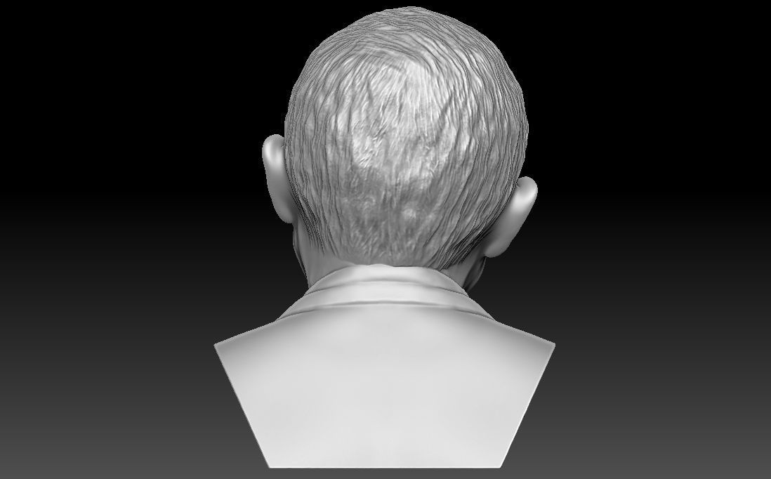 Stephen Hawking 3D printing ready stl obj formats 3D print model_7