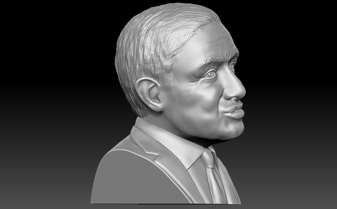 Stephen Hawking 3D printing ready stl obj formats 3D print model_10