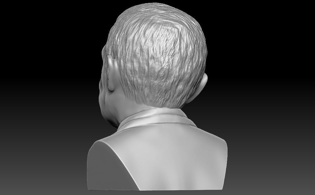 Stephen Hawking 3D printing ready stl obj formats 3D print model_6