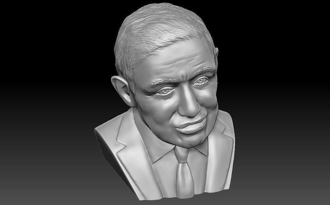 Stephen Hawking 3D printing ready stl obj formats 3D print model_13