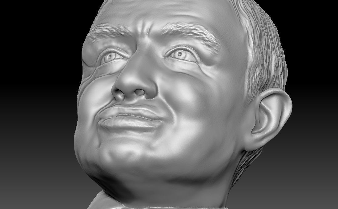 Stephen Hawking 3D printing ready stl obj formats 3D print model_21