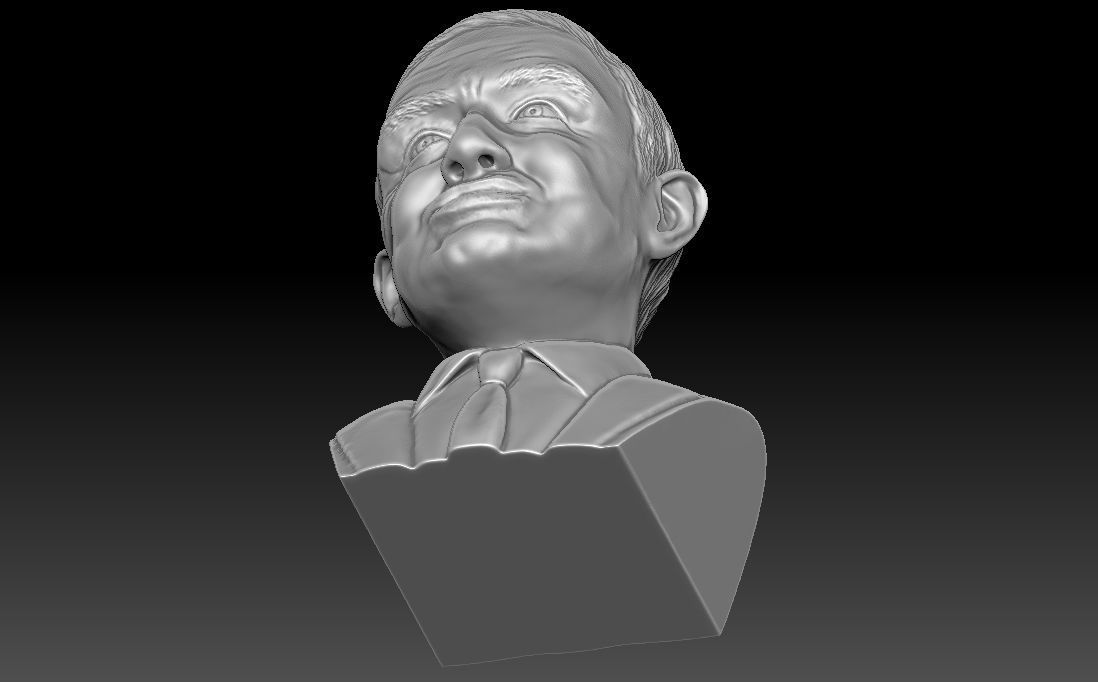 Stephen Hawking 3D printing ready stl obj formats 3D print model_16