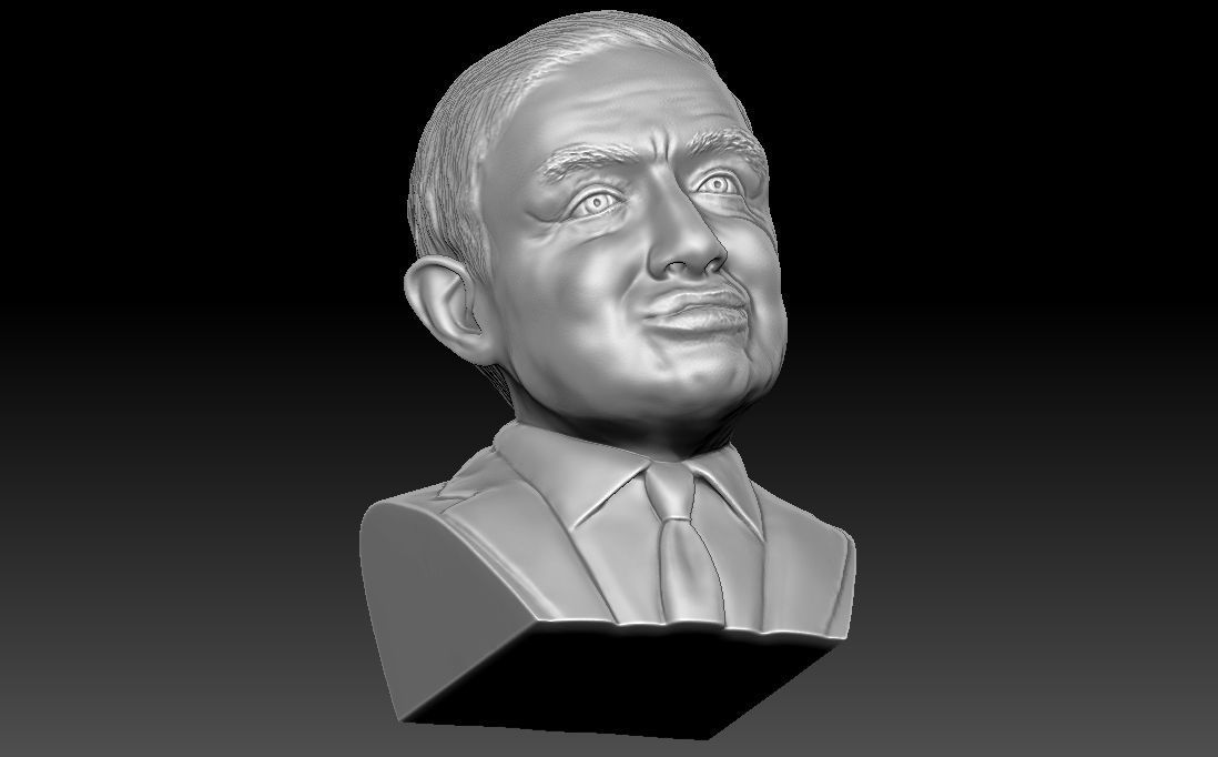 Stephen Hawking 3D printing ready stl obj formats 3D print model_15