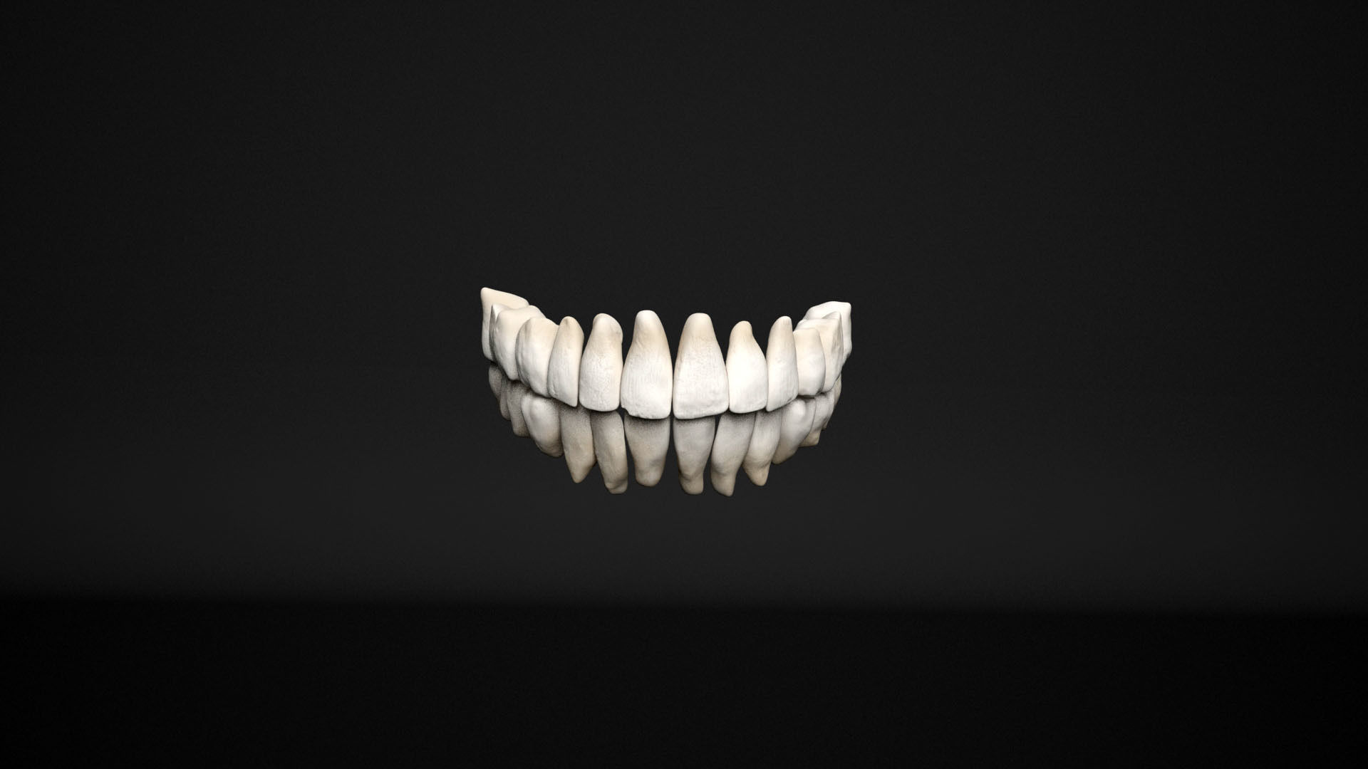 human skull  3D model_10