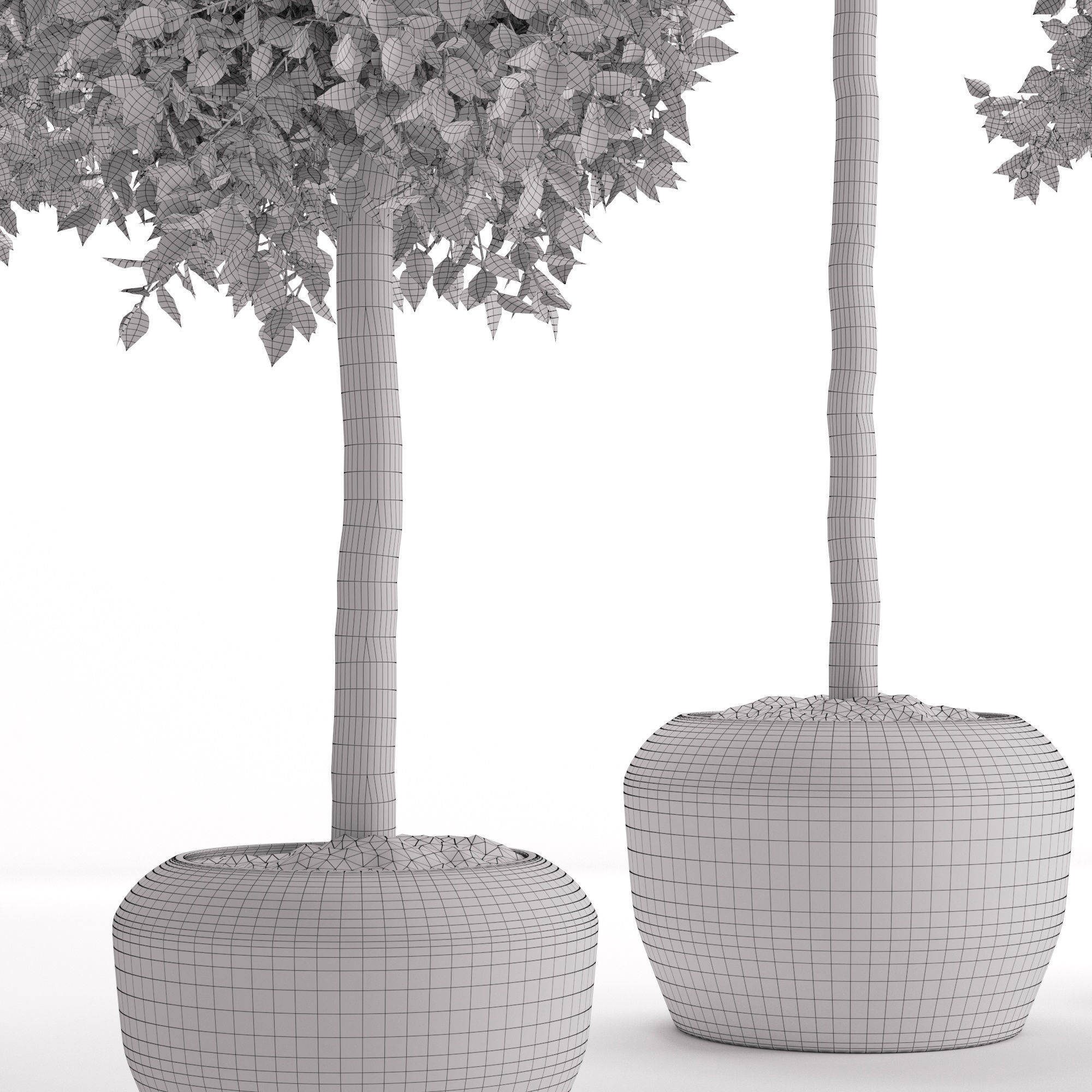 Houseplant 26 3D model_4