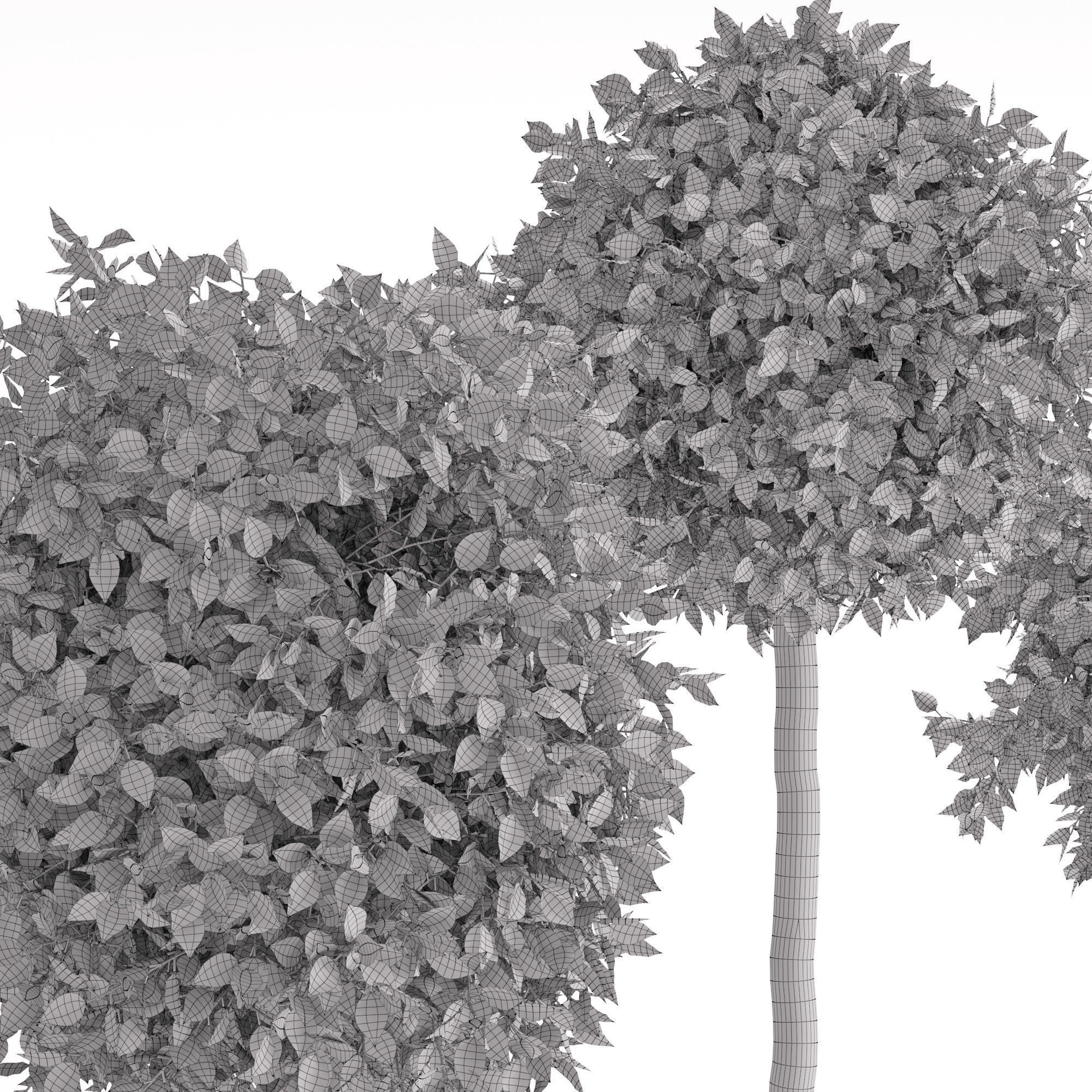 Houseplant 26 3D model_2