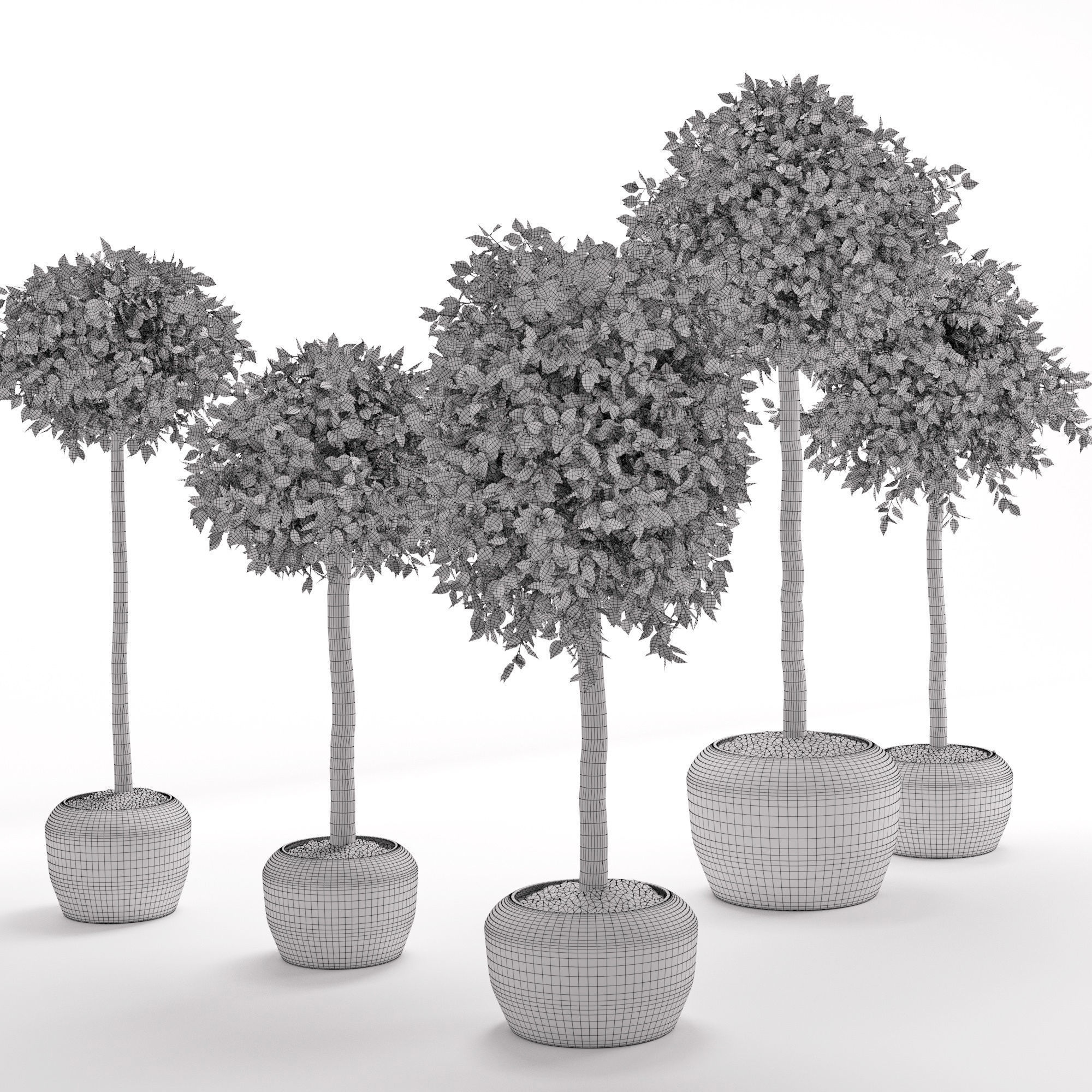 Houseplant 26 3D model_6