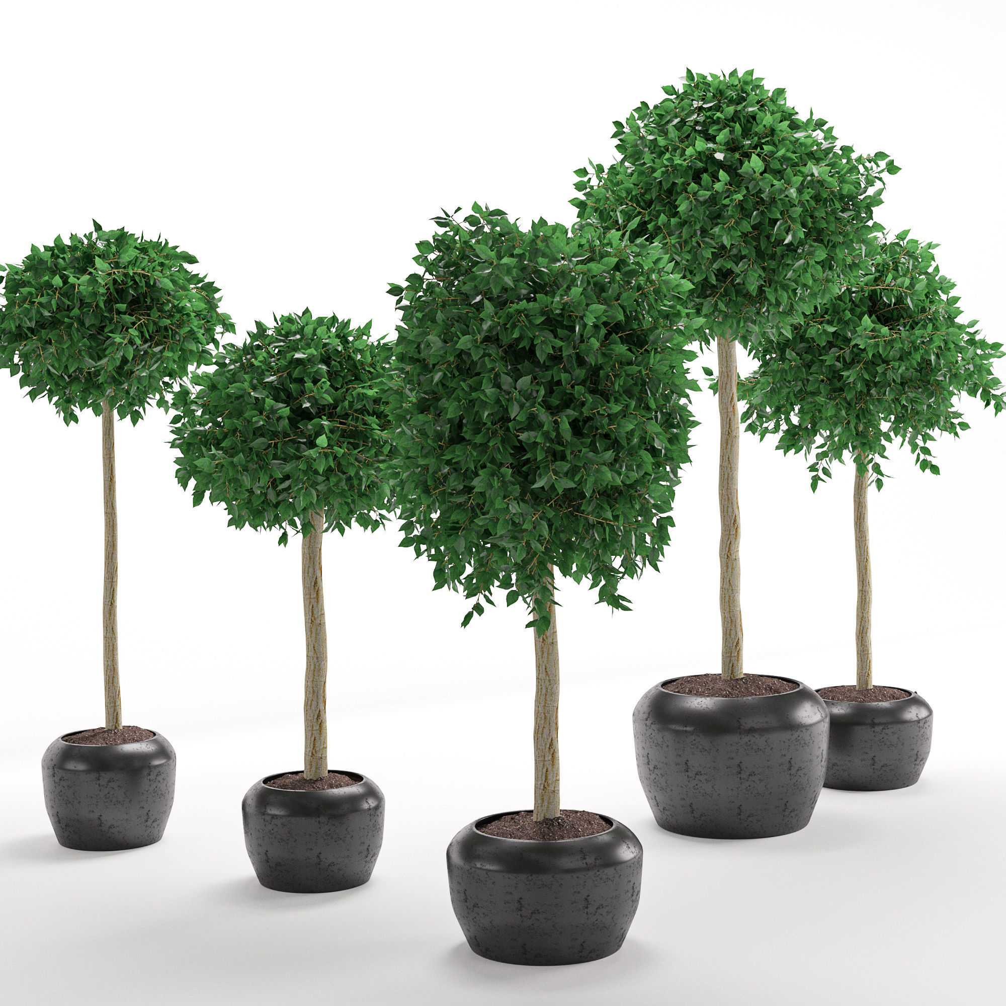 Houseplant 26 3D model_3