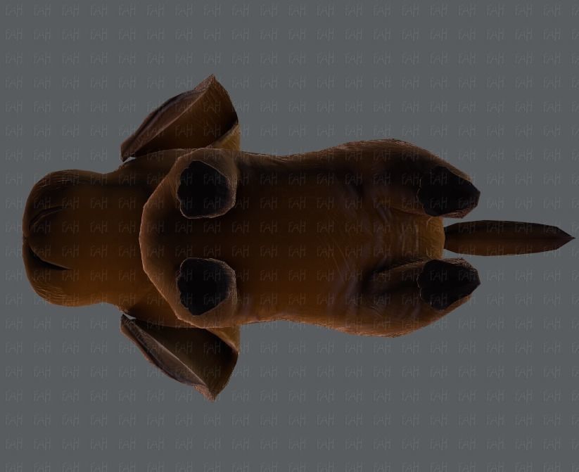 Dog base cartoon Low-poly 3D model_35