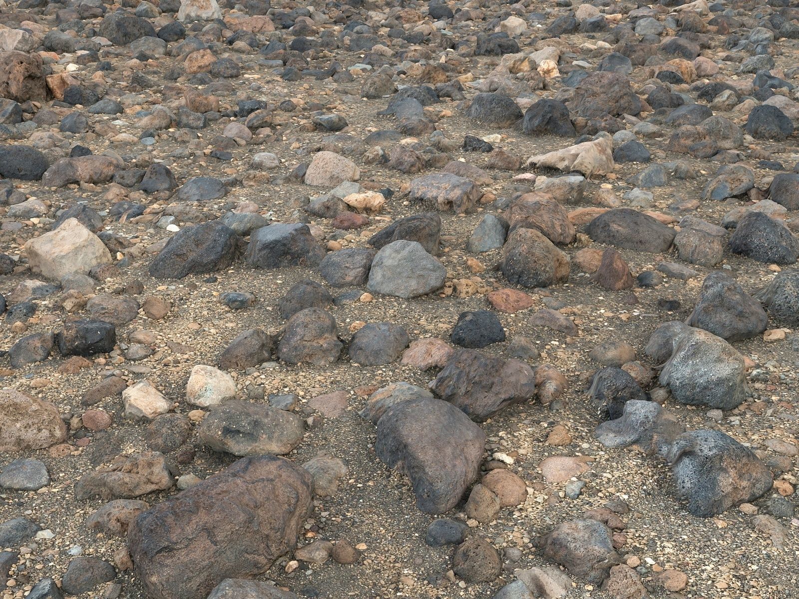 Stone Desert 16K Low-poly 3D model_1