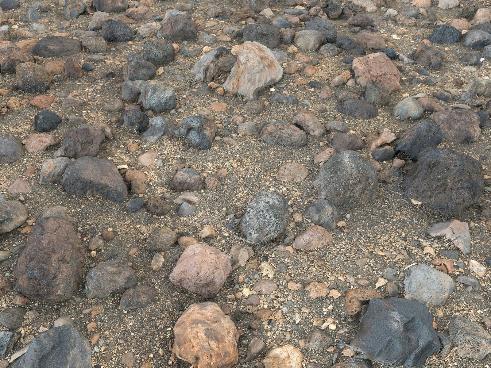 Stone Desert 16K Low-poly 3D model_5