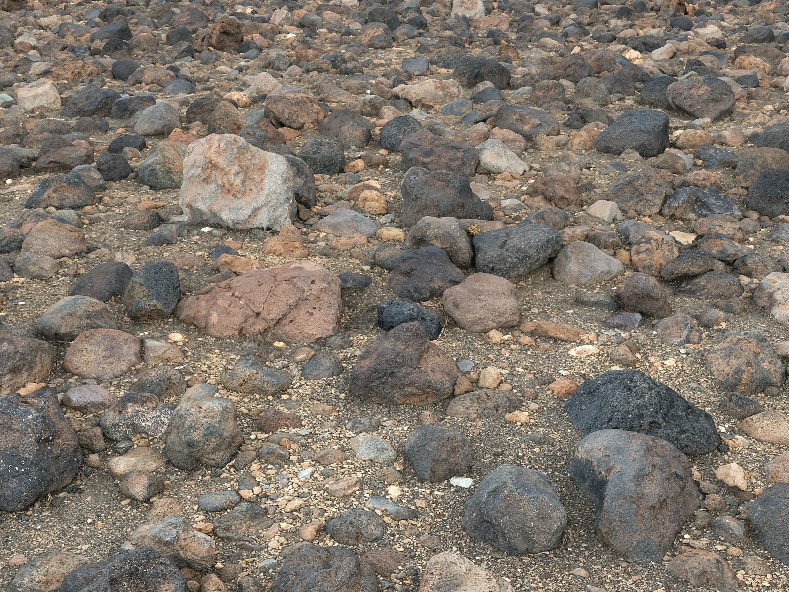 Stone Desert 16K Low-poly 3D model_2