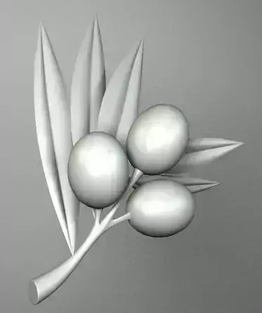 OLIVES branch with three