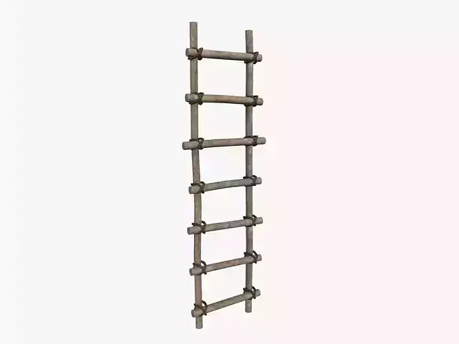 Ancient Ladder