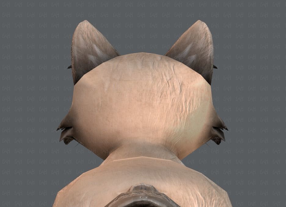 Cat Cartoon V02 Low-poly 3D model_21