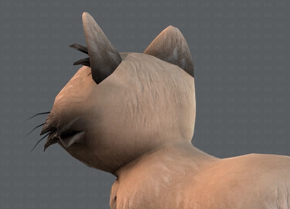 Cat Cartoon V02 Low-poly 3D model_22