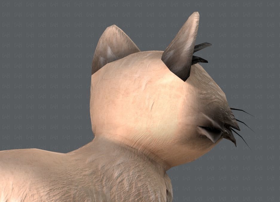 Cat Cartoon V02 Low-poly 3D model_20