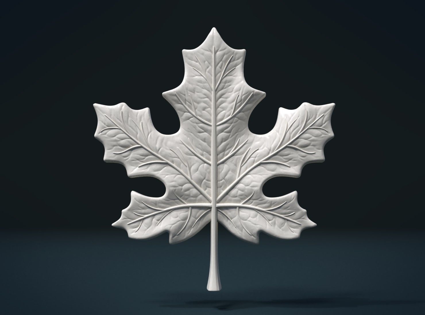Maple Leaf 3D print model_1