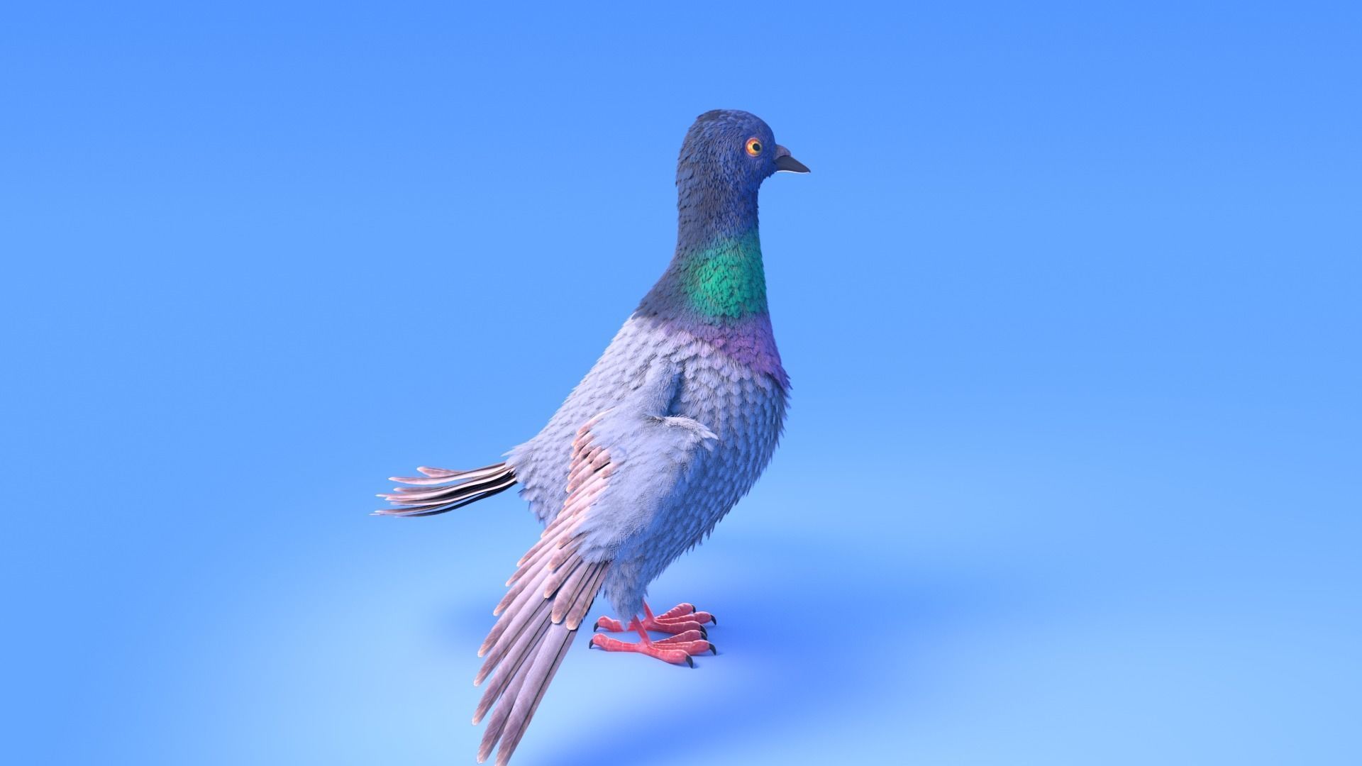 Pigeon with feather system - Cartoon style 3D model_3