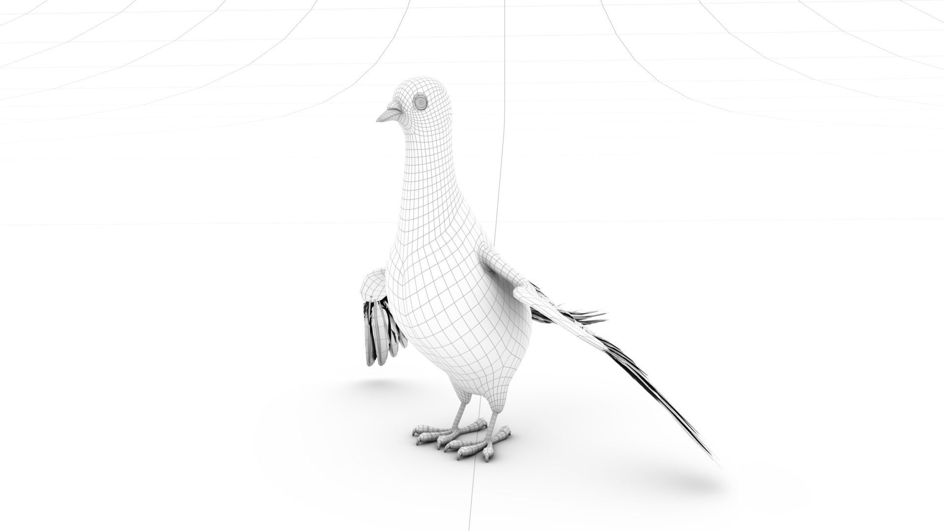 Pigeon with feather system - Cartoon style 3D model_9