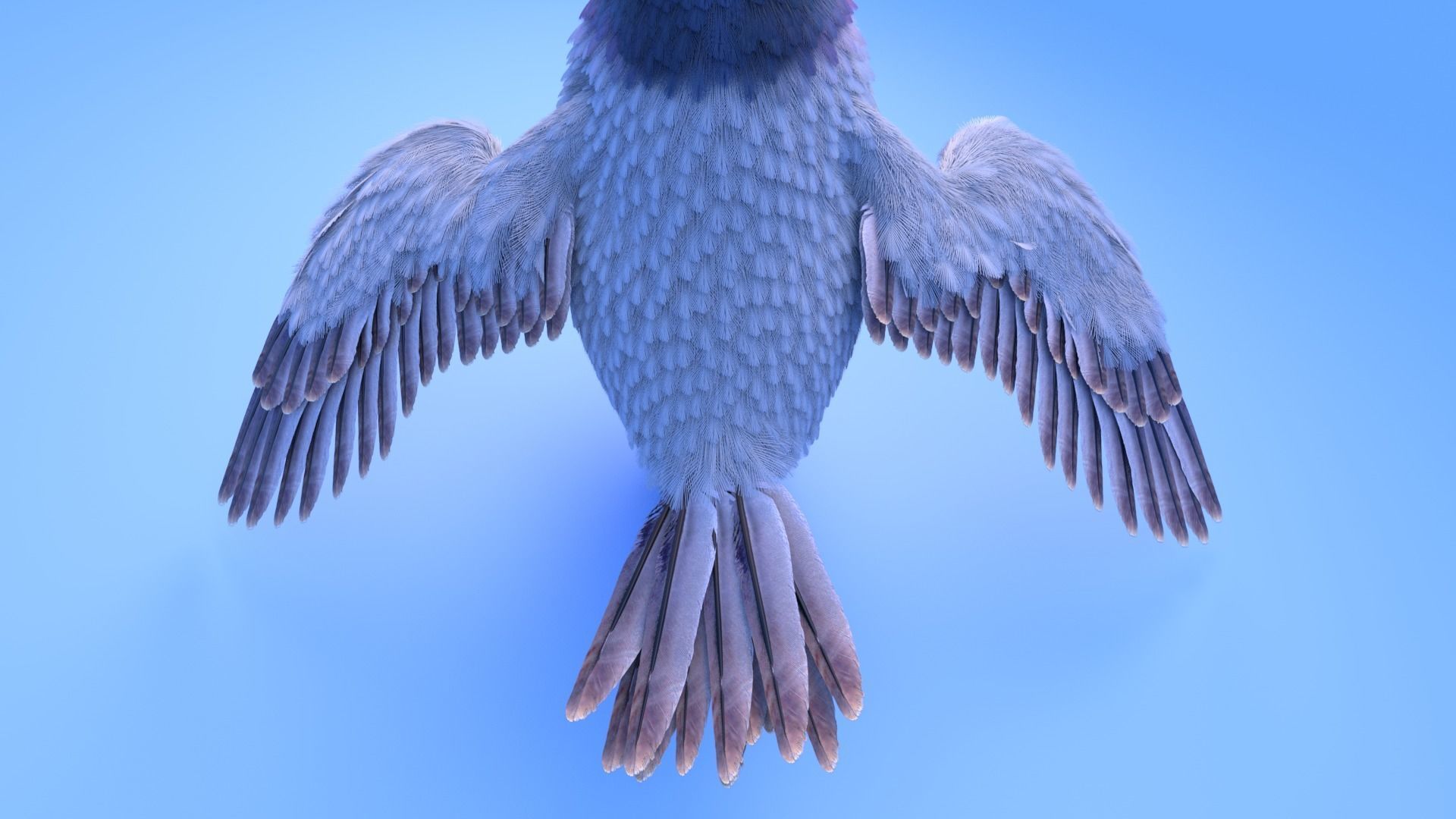 Pigeon with feather system - Cartoon style 3D model_7