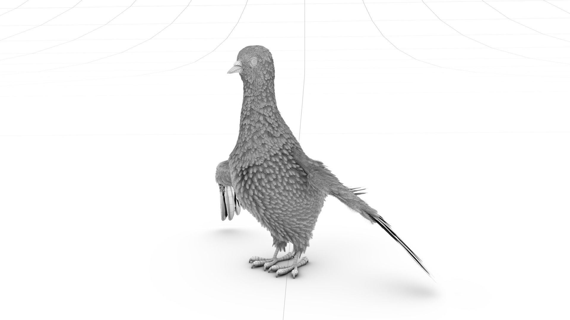 Pigeon with feather system - Cartoon style 3D model_8