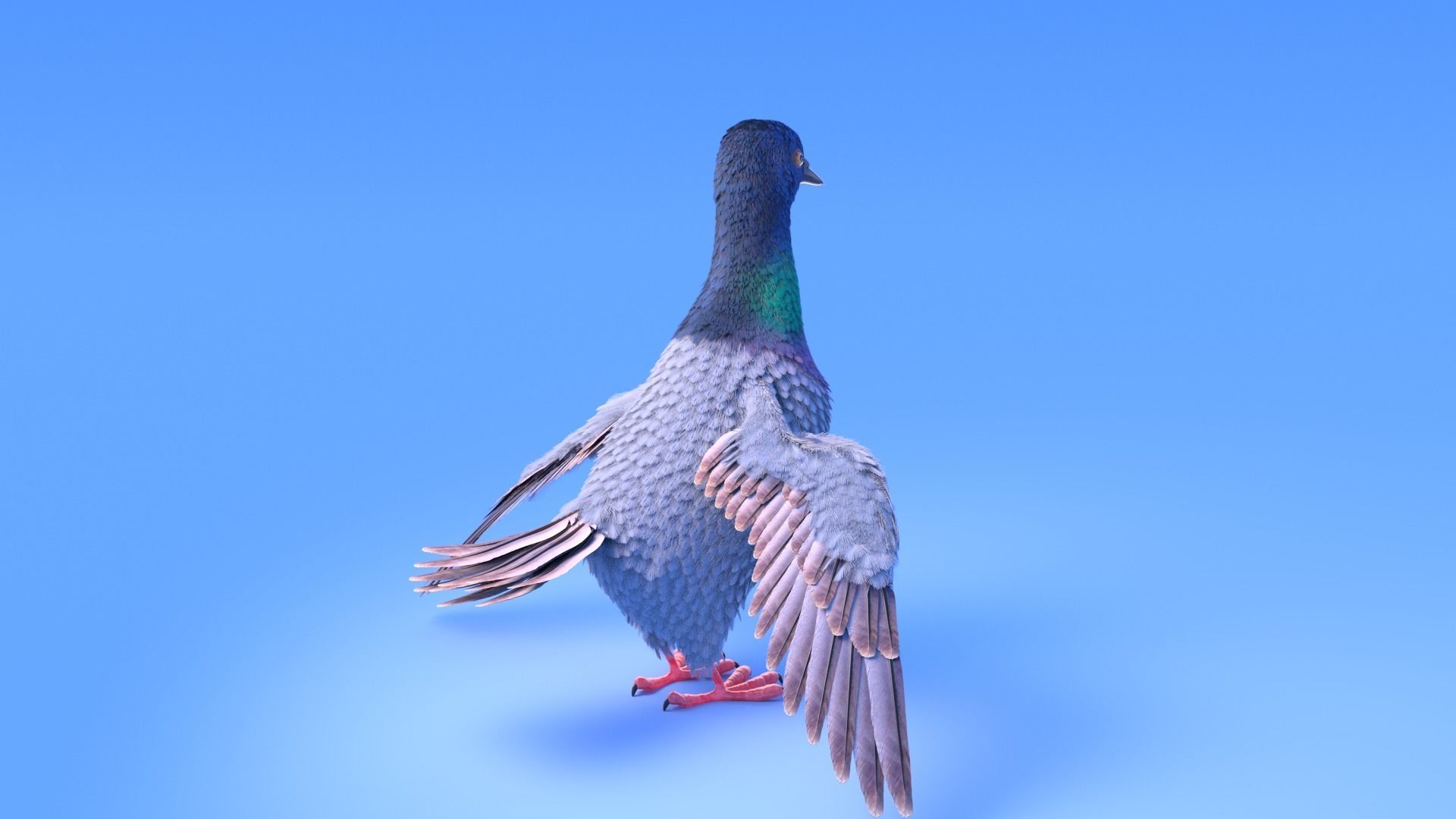 Pigeon with feather system - Cartoon style 3D model_2