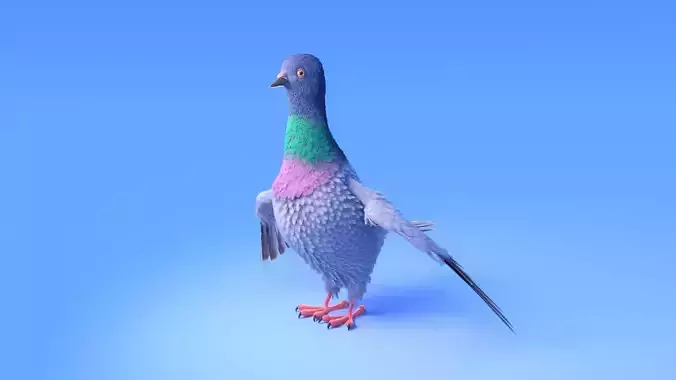 Pigeon with feather system - Cartoon style 3D model