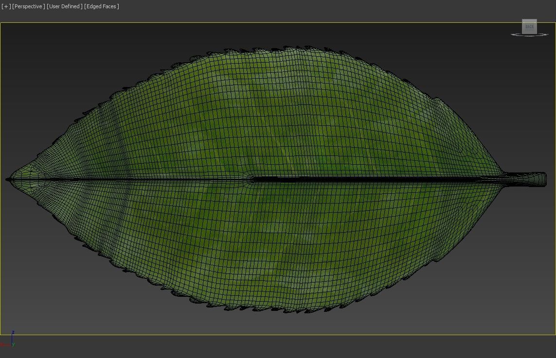 Tea leaf Low-poly 3D model_6