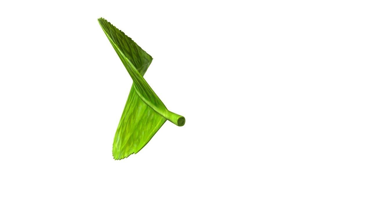 Tea leaf Low-poly 3D model_3