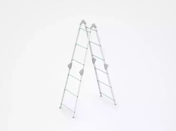Double Sided Step Ladder