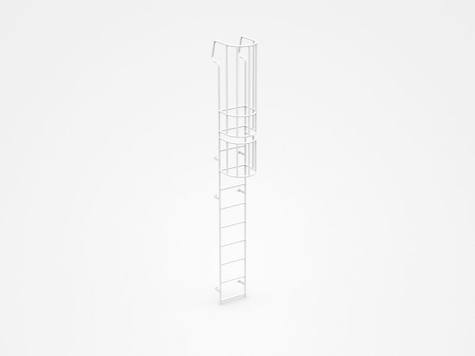Industrial Ladder With Safety Hoops 3D model