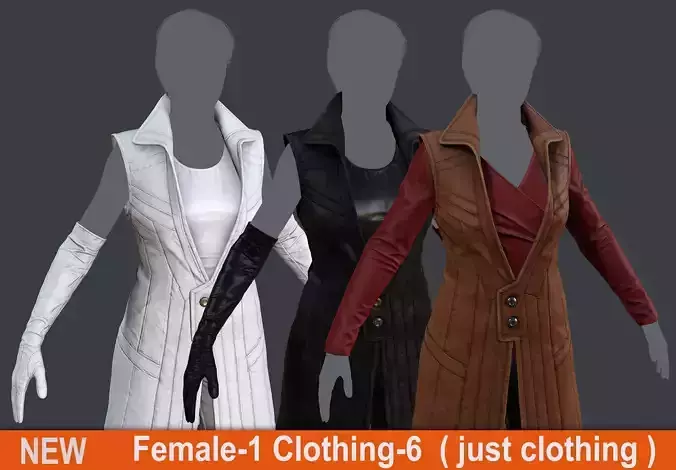 Female 1 - clothing 6 - just clothing Low-poly 3D model