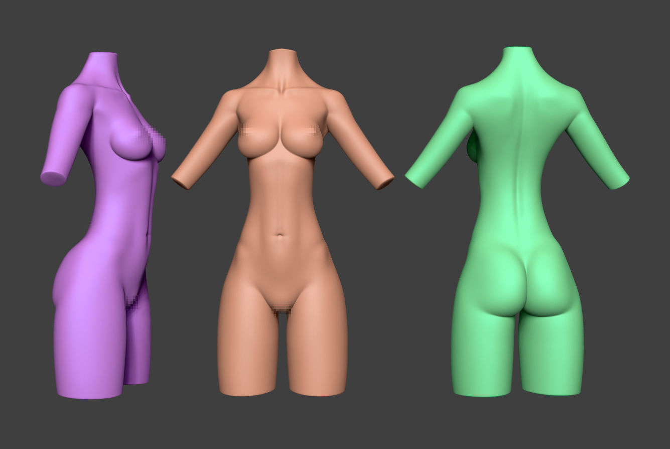 Female Torso 15 Low-poly 3D model_1
