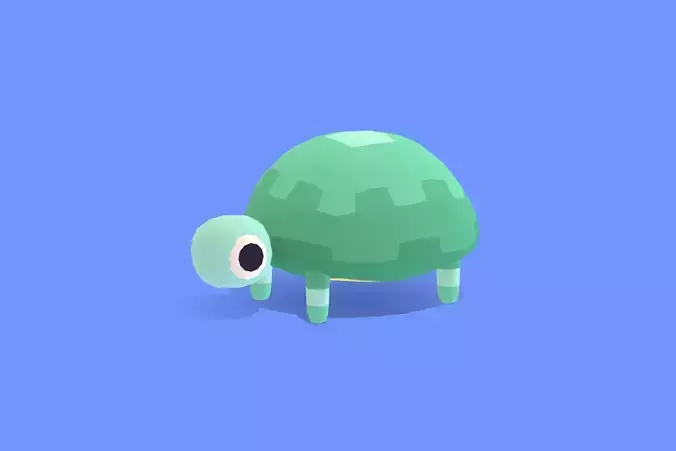 Tortoise - Quirky Series