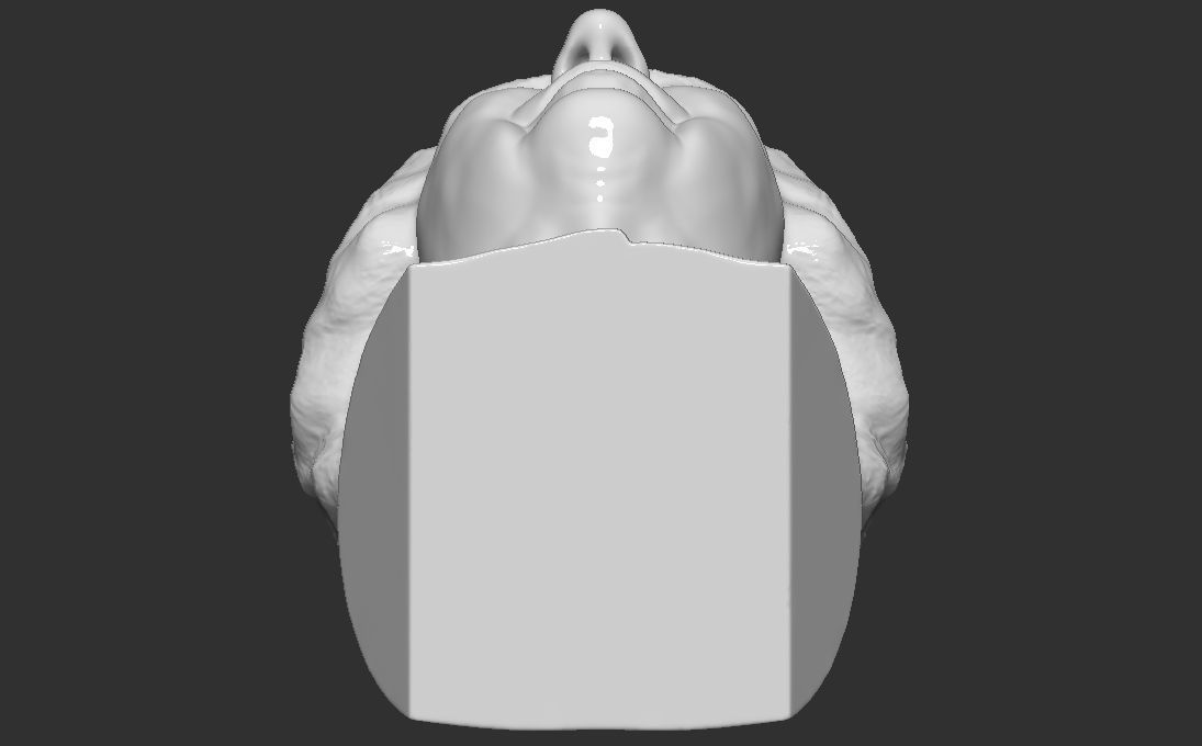 Queen Elizabeth II bust 3D printing ready stl obj formats 3D print model_24